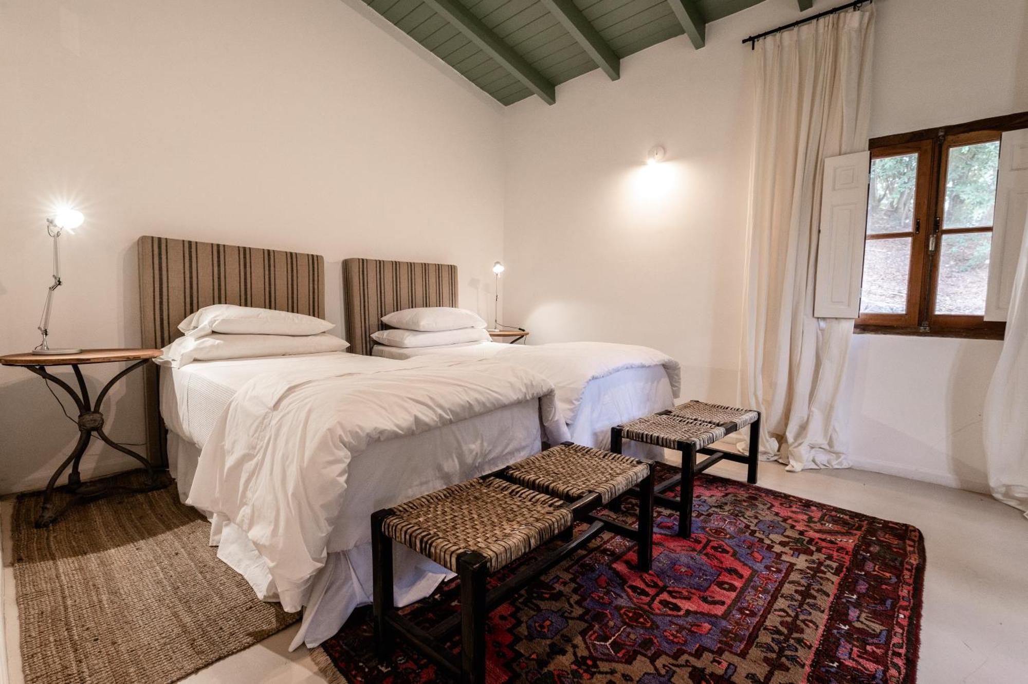 Scratch House Hotel Boutique Villa Allende Dış mekan fotoğraf